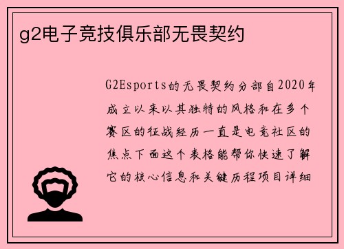 g2电子竞技俱乐部无畏契约